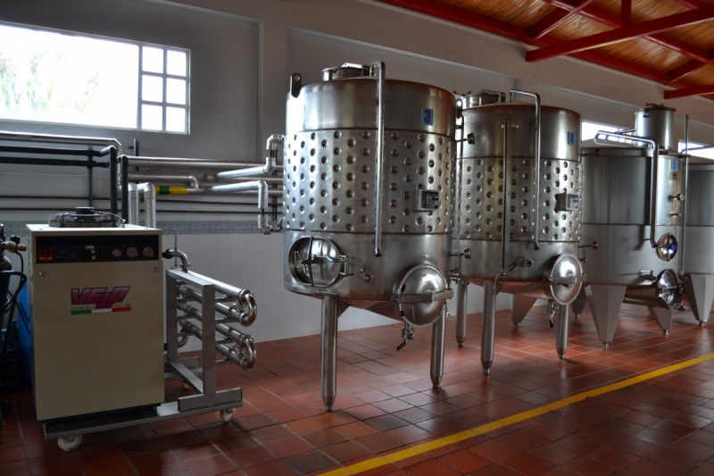 cave-LA ROQUEBRUSSANNE-min_wine_production_cantine_winery_drink_alcohol_vine_beverage-902036